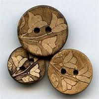 Chinese river shells
